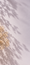 Image to render