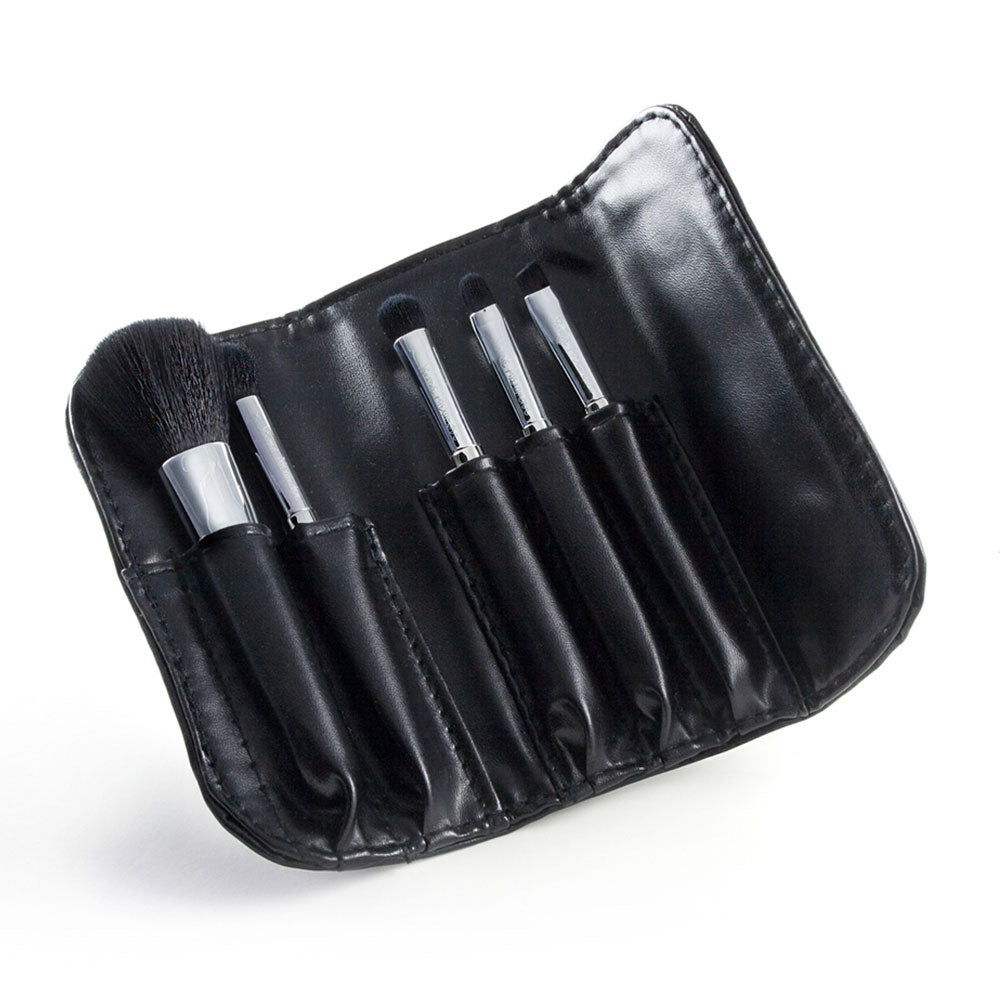 5-piece makeup brush set and case